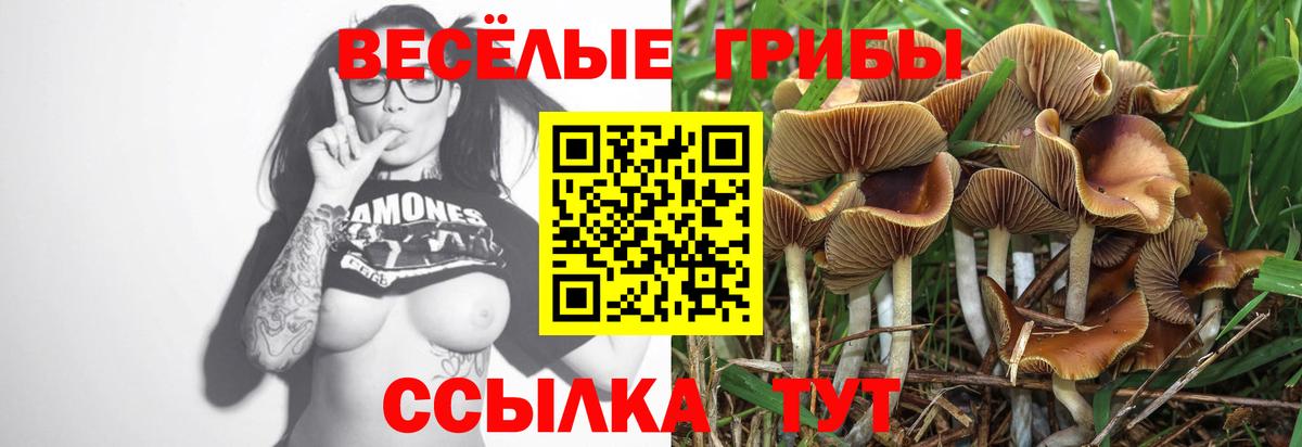 Галлюциногенные грибы прущие грибы  Вход с VPN  купить наркотик  Псилоцибиновые грибы прущие грибы  Нижневартовск 