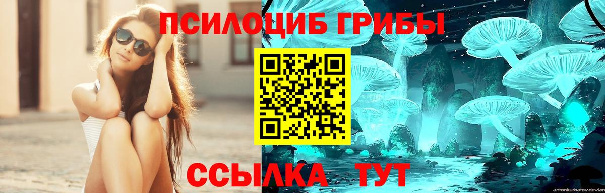 Псилоцибиновые грибы прущие грибы Нижневартовск
